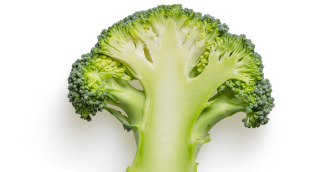  Broccoli