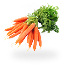 Carrot