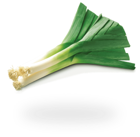 Leek